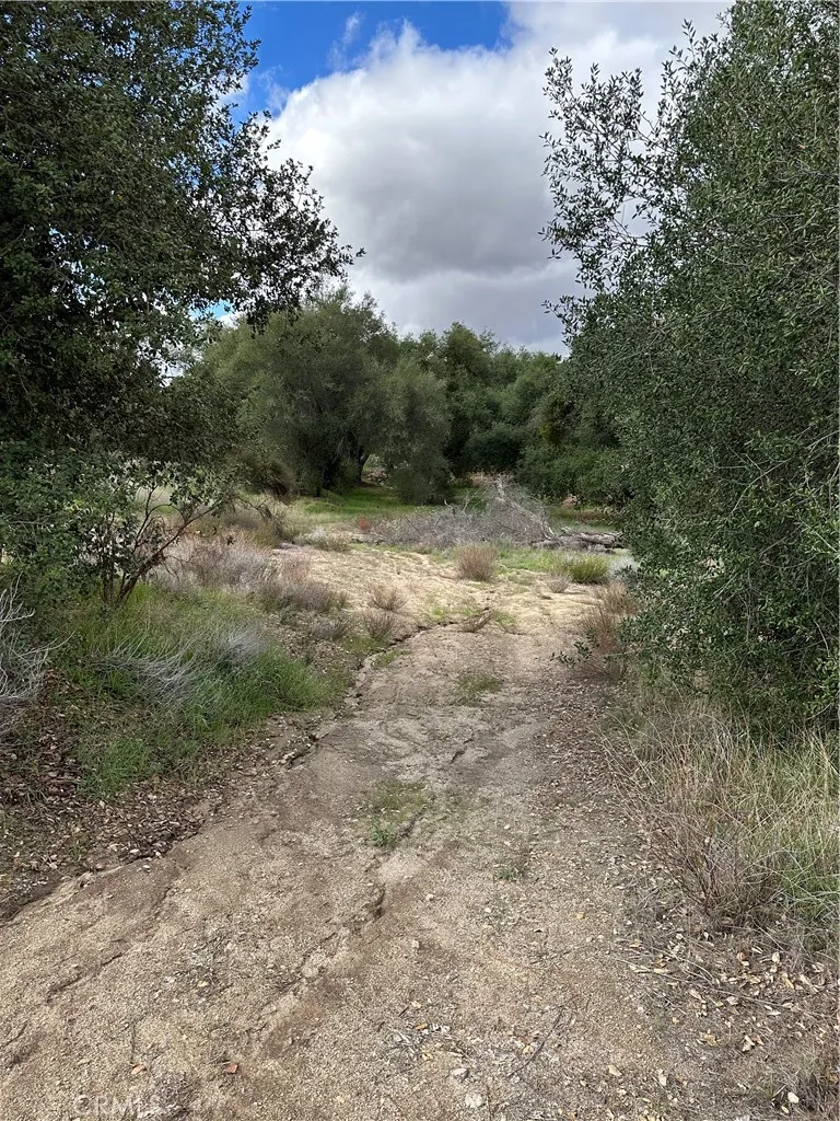 View of parcel.