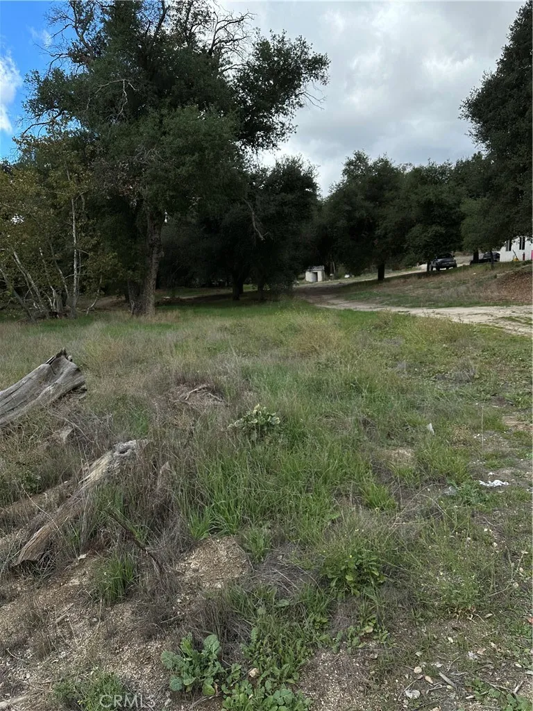 View of parcel.