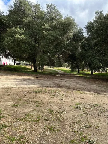 View of parcel.