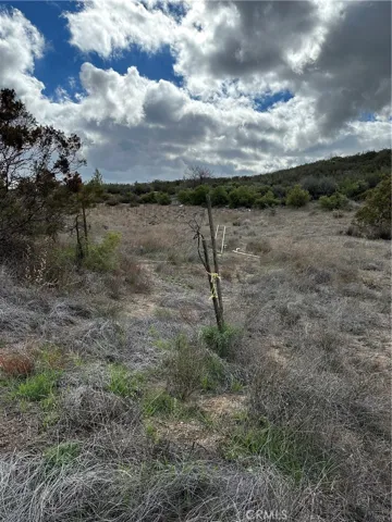 View of parcel.