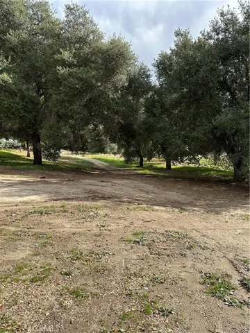View of parcel.