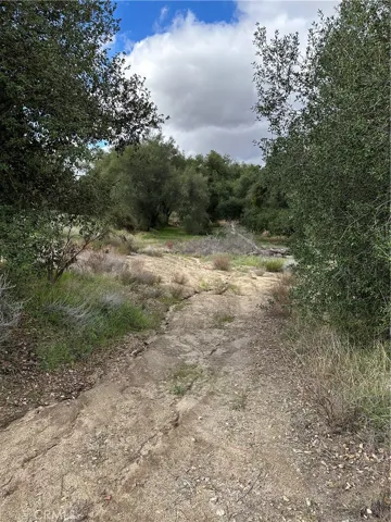 View of parcel.