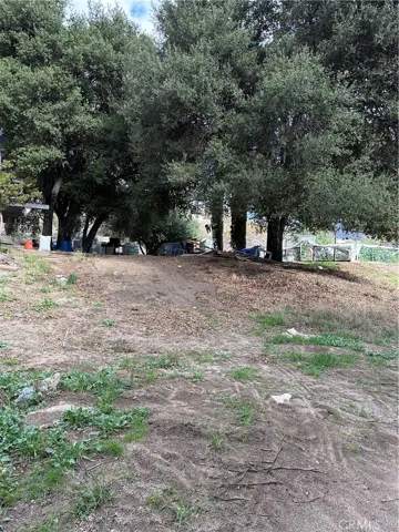 View of parcel.