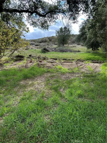 View of parcel.