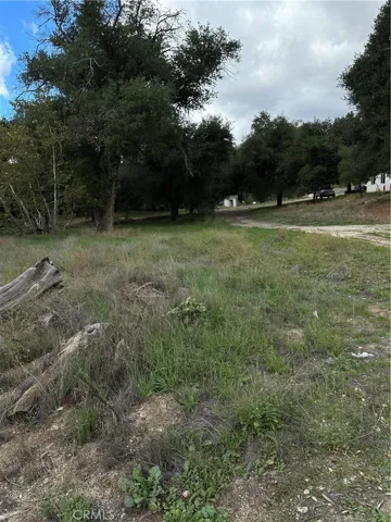 View of parcel.