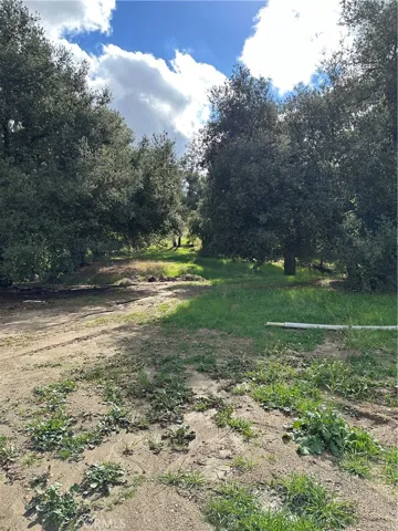 View of parcel.