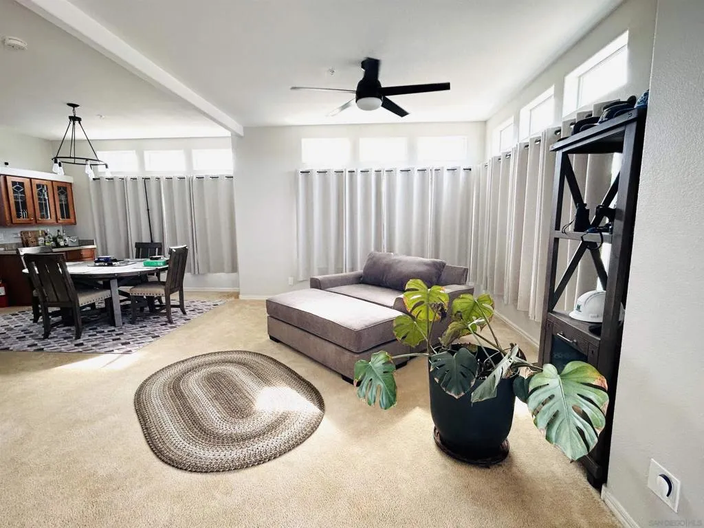 39201 Opalocka Road, Boulevard, California 91905 home-pic-5