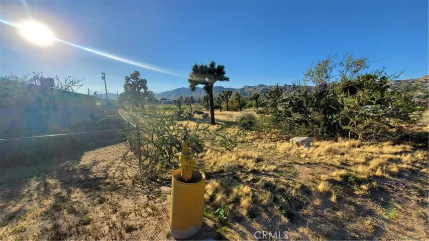 Looking across the parcel from the south corner.