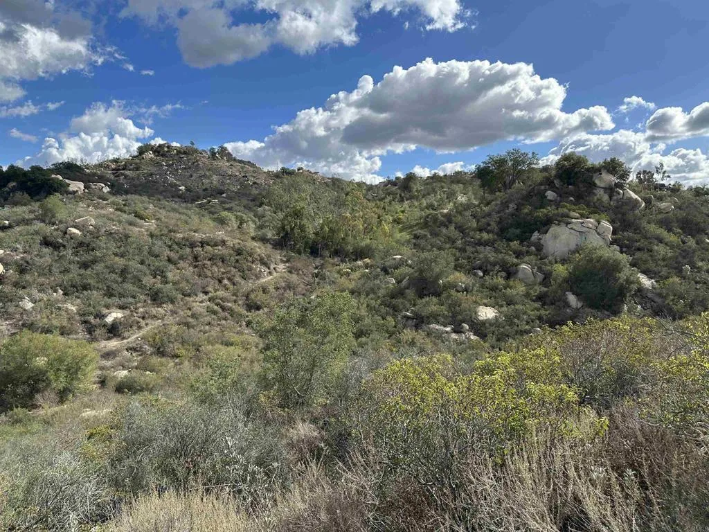 2494 Donnil Lane, Fallbrook, California 92028 home-pic-50