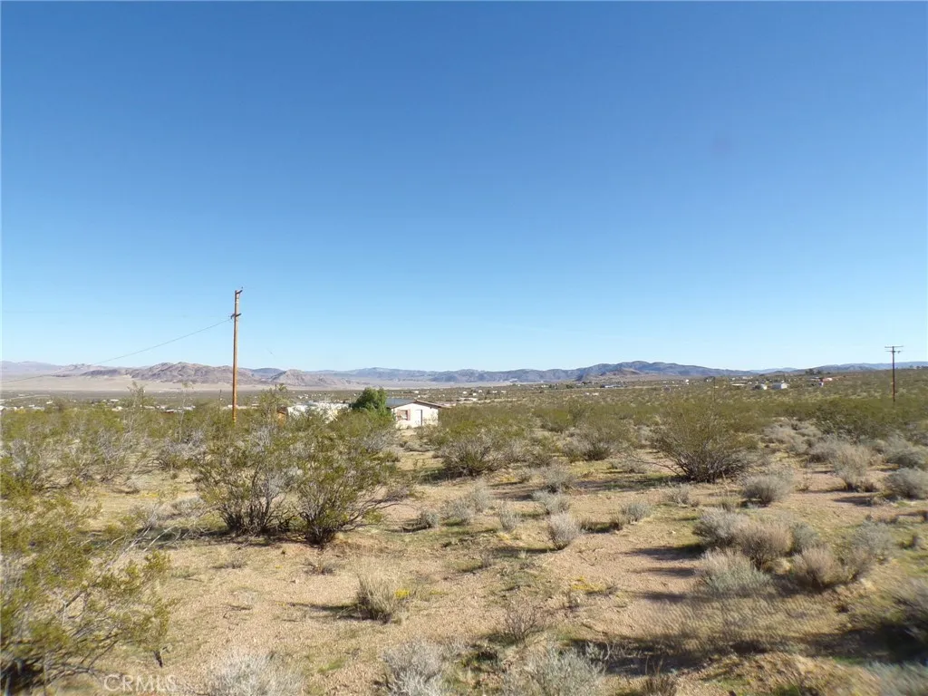 4880 Bonanza, Johnson Valley, California 92285 home-pic-2