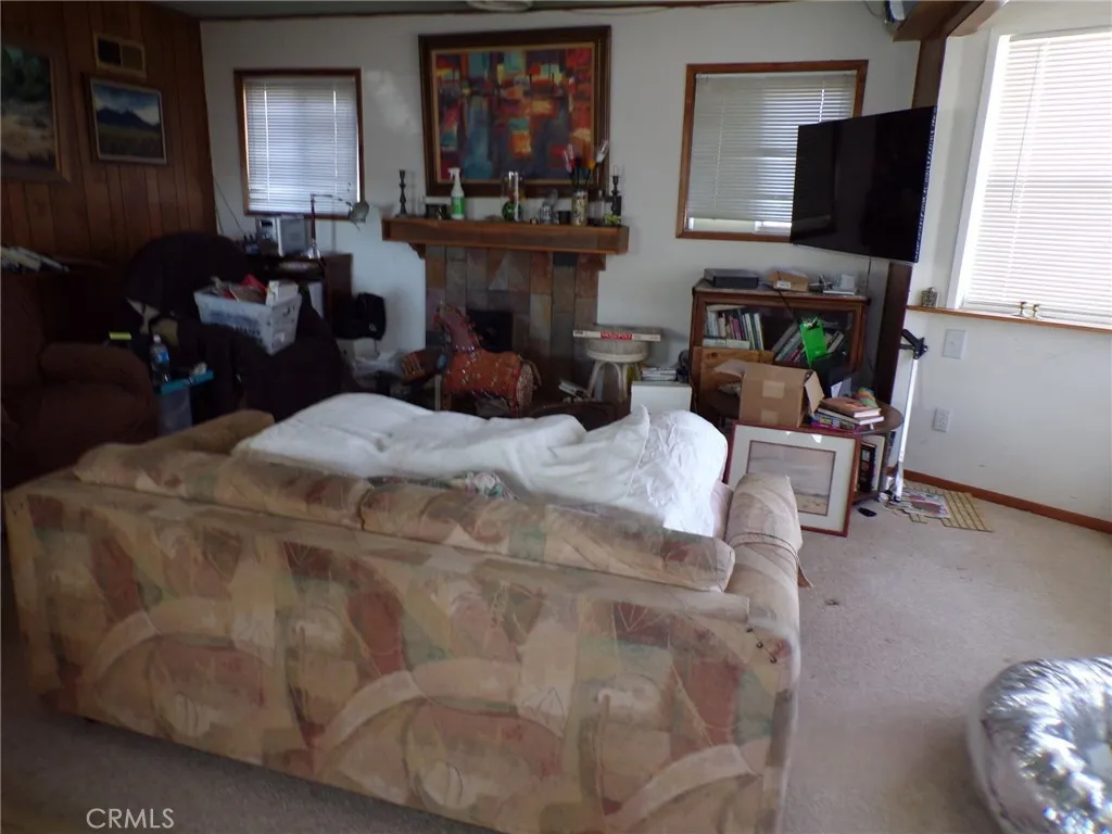 4880 Bonanza, Johnson Valley, California 92285 home-pic-6