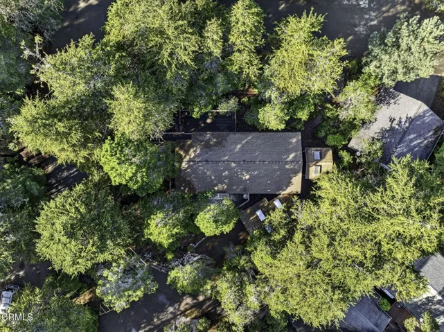 2-web-or-mls-DJI_0746