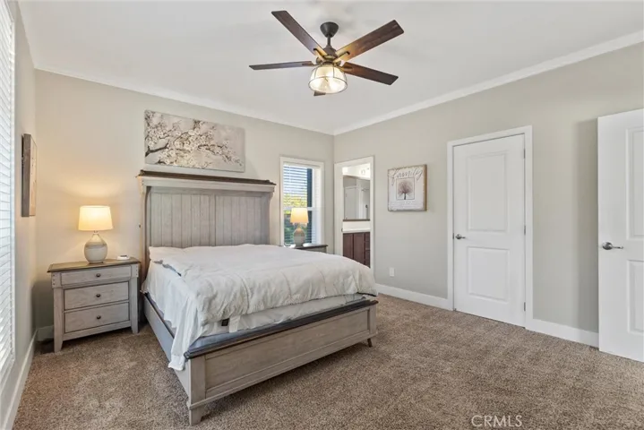 Large Primary Bedroom with Walk-In Closet