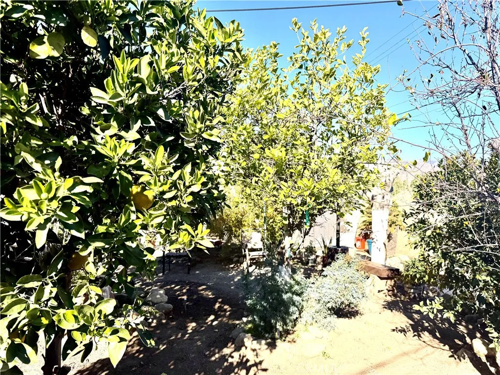 1282 N Phillips, Banning, California 92220 home-pic-14