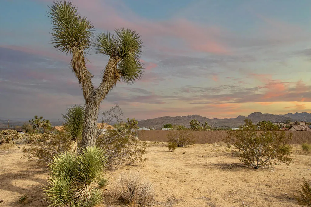 61148 Prescott Trail, Joshua Tree, California 92252 home-pic-2