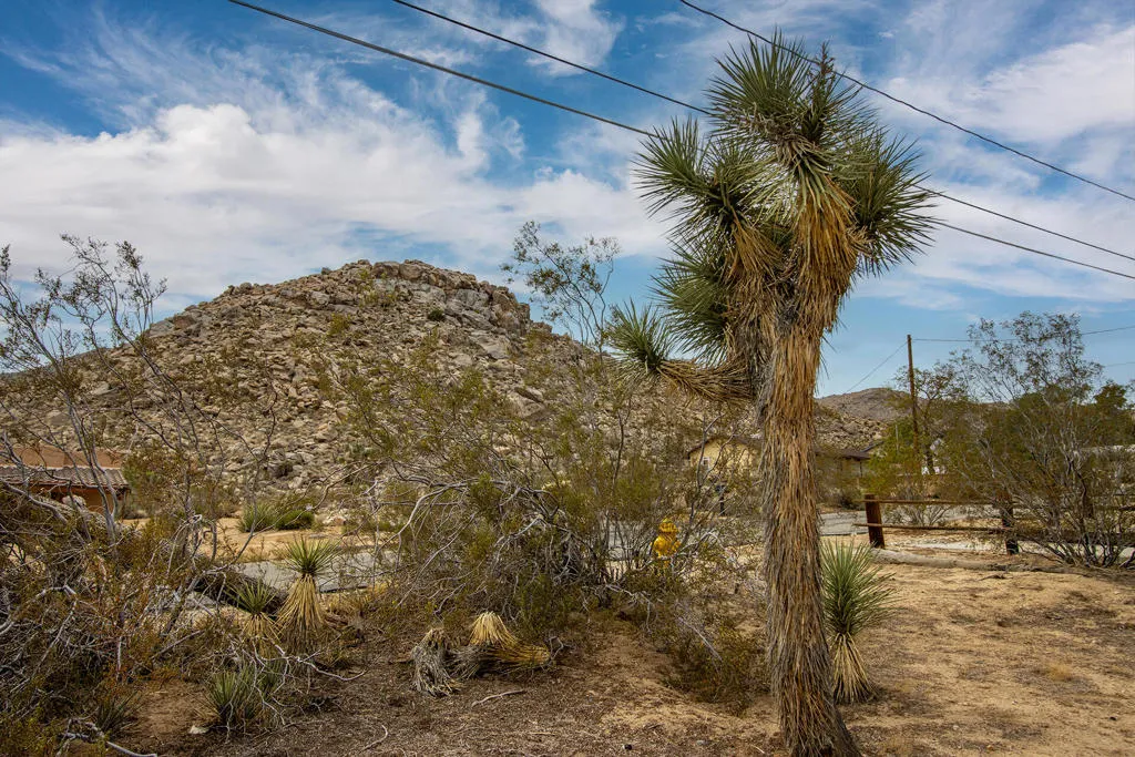 61148 Prescott Trail, Joshua Tree, California 92252 home-pic-12