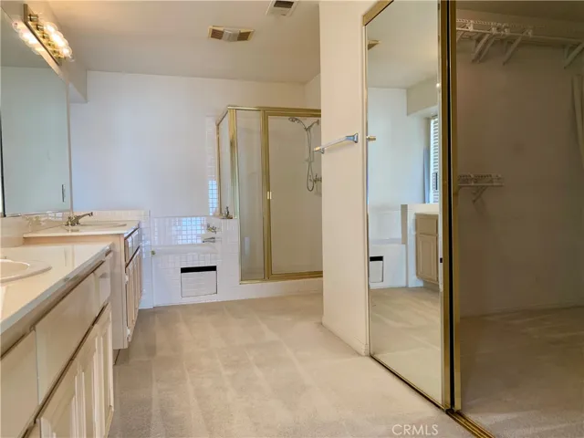 Master Bath/Walk in Closet
