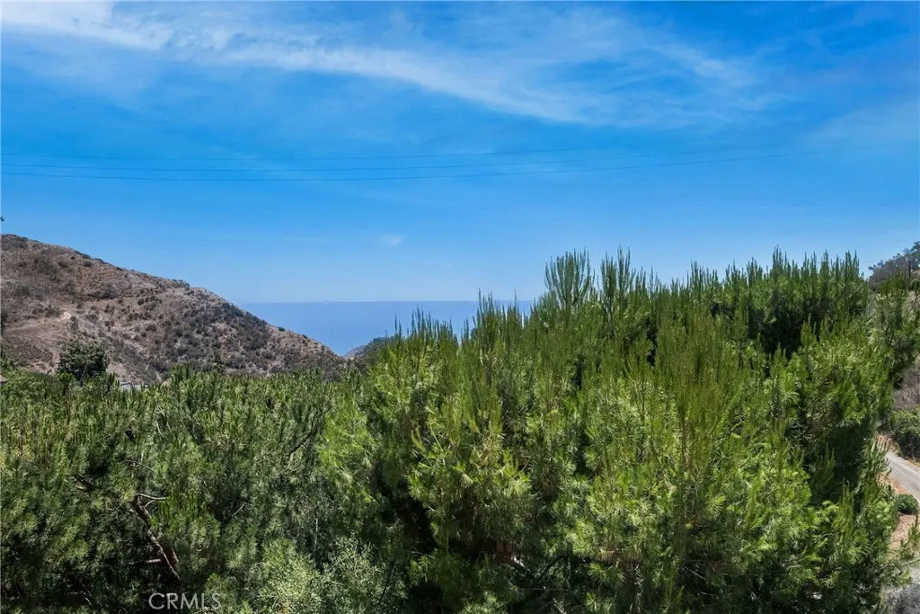 26616 Ocean View Drive, Malibu, California 90265 home-pic-31