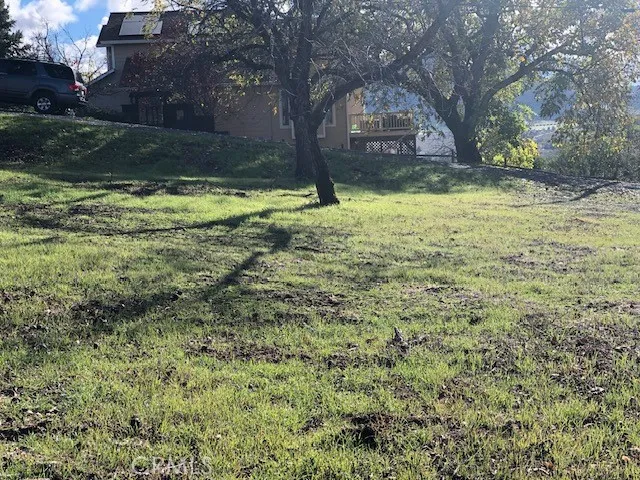 looking towards street,
walnut trees on property