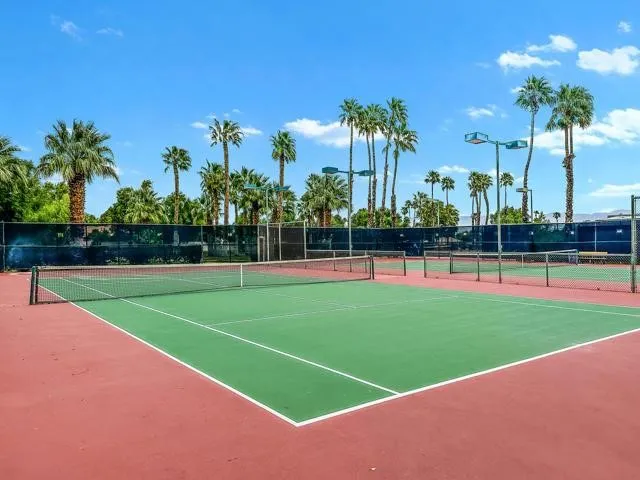 1436 Sunflower S, Palm Springs, California 92262 home-pic-3