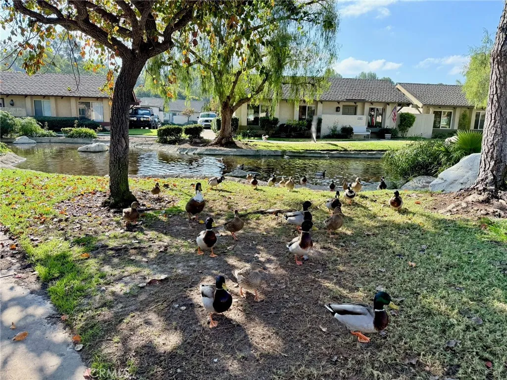 22901 Caminito Flores 130, Laguna Hills, California 92653 home-pic-30