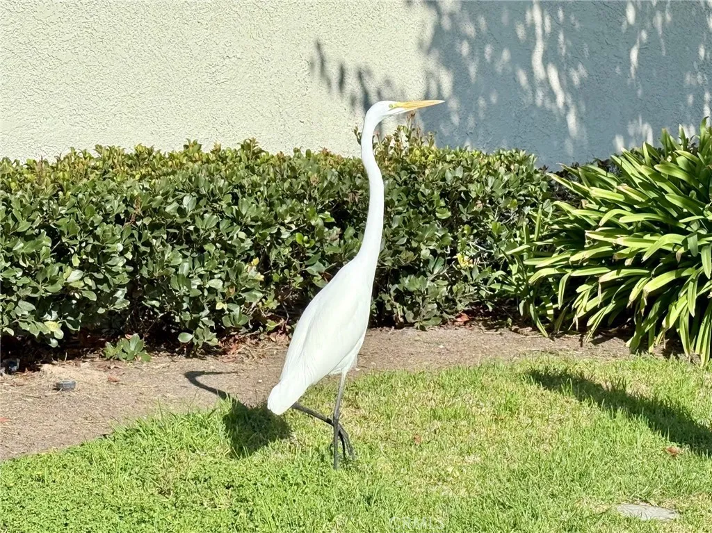22901 Caminito Flores 130, Laguna Hills, California 92653 home-pic-31