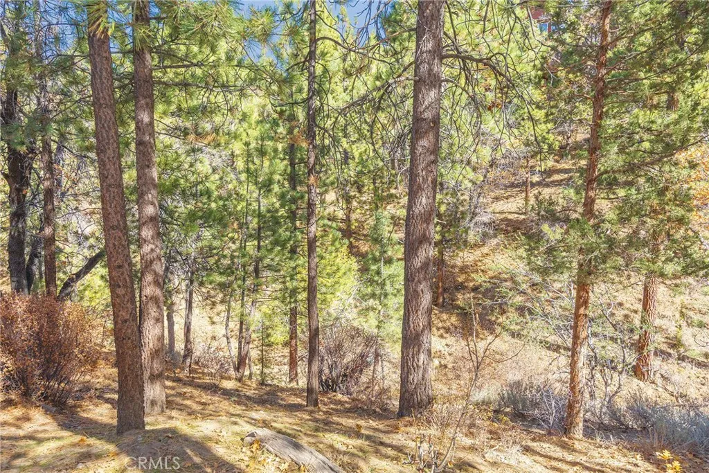 1200 Minton Drive, Big Bear City, California 92314 home-pic-33