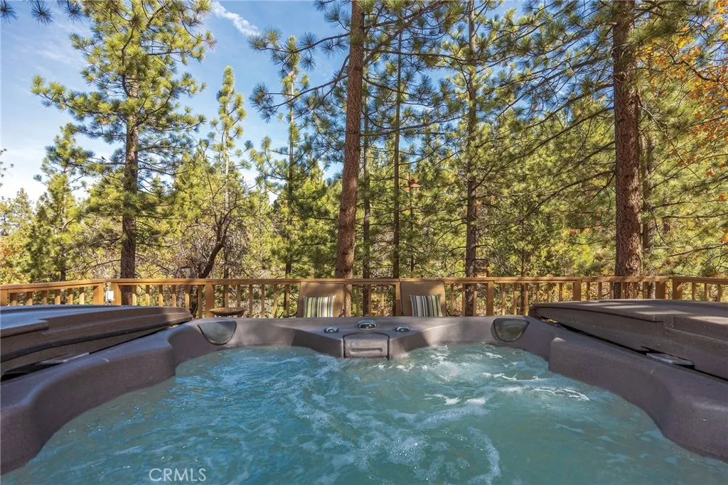 1200 Minton Drive, Big Bear City, California 92314 home-pic-11