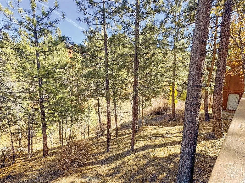 1200 Minton Drive, Big Bear City, California 92314 home-pic-50