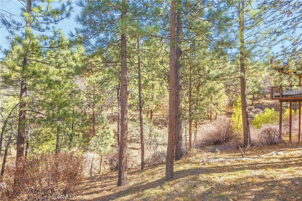 1200 Minton Drive, Big Bear City, California 92314 home-pic-32