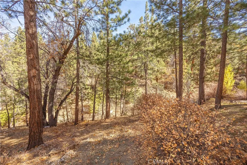 1200 Minton Drive, Big Bear City, California 92314 home-pic-16