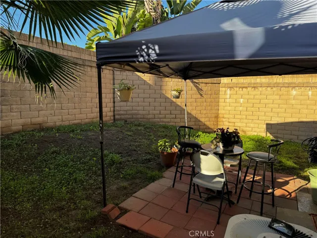 back yard
