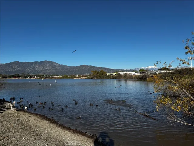 Peck Rd Water Conservation Park
