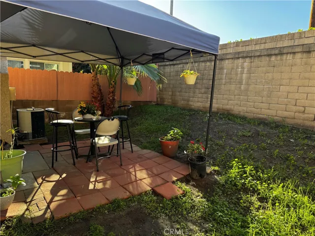 back yard