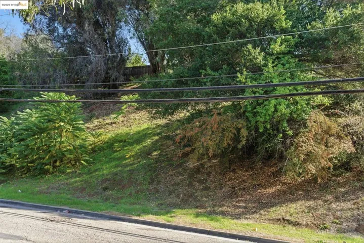 View of home's community featuring view of scattered trees