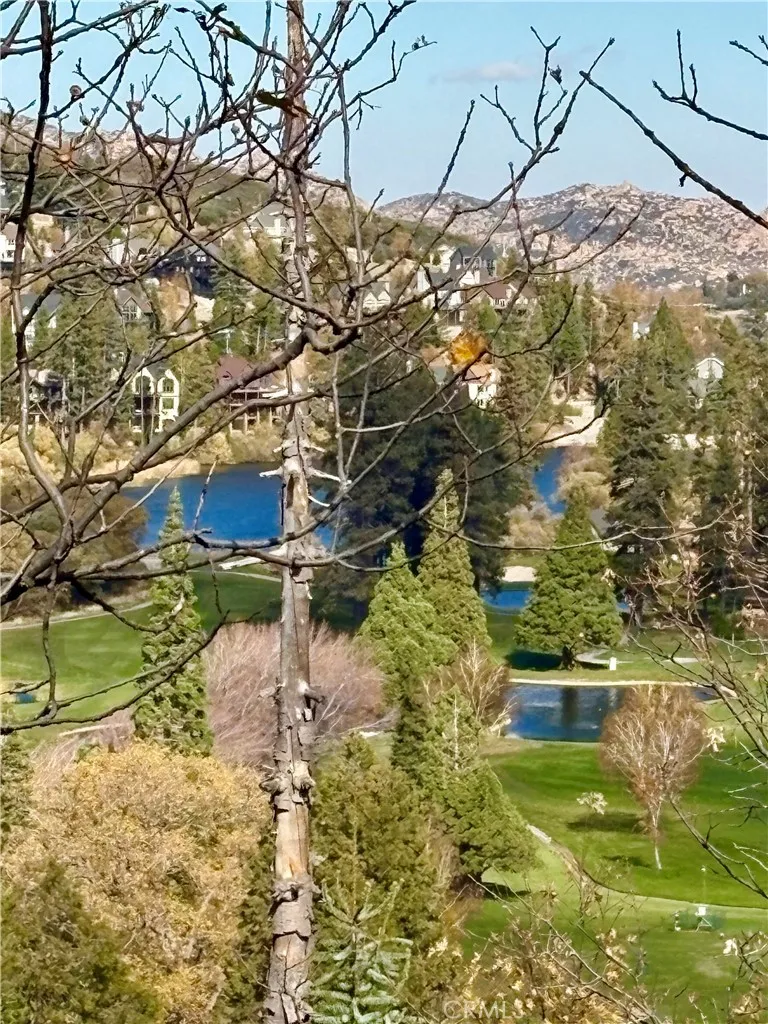 26822 Huron, Lake Arrowhead, California 92352 home-pic-3