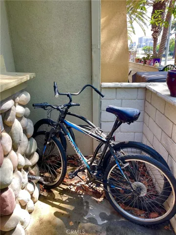 -FREE Transportation