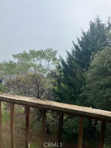 Back deck