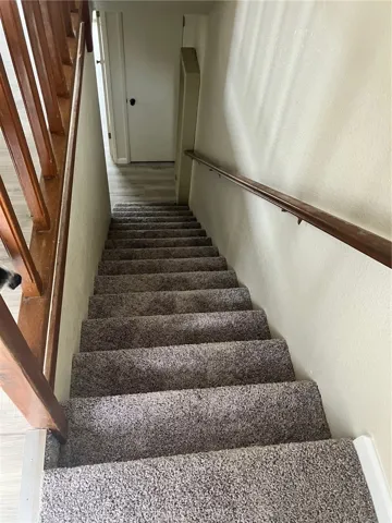 Suite A New Carpet