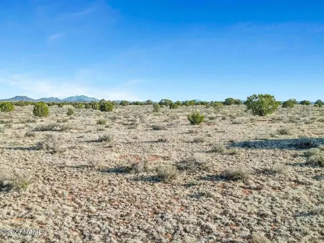 amboy road joshua tree land pic