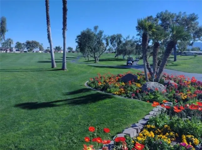 Golf Course
