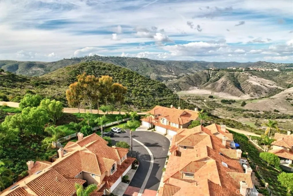 29372 Christiana, Laguna Niguel, California 92677 home-pic-52