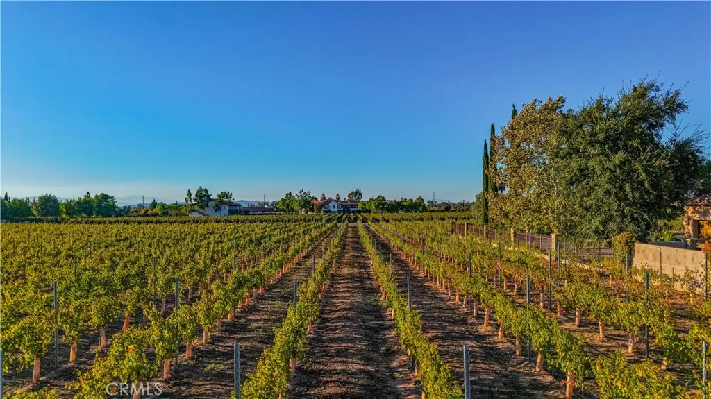 34965 Via Del Ponte, Temecula, California 92592 home-pic-70