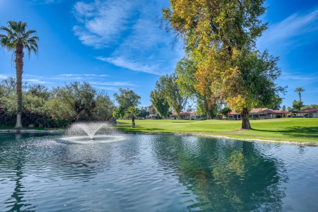 49211 Douglas Street, Indio, California 92201 home-pic-43