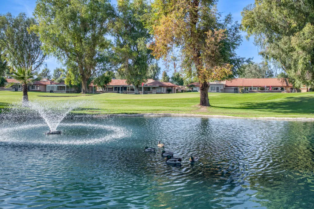 49211 Douglas Street, Indio, California 92201 home-pic-39
