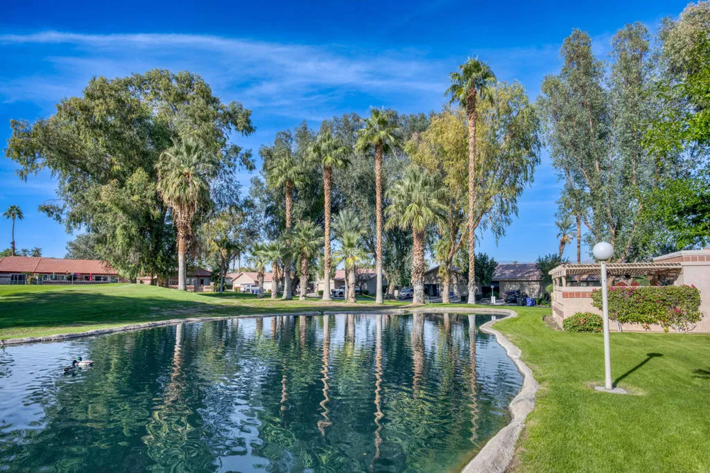 49211 Douglas Street, Indio, California 92201 home-pic-44