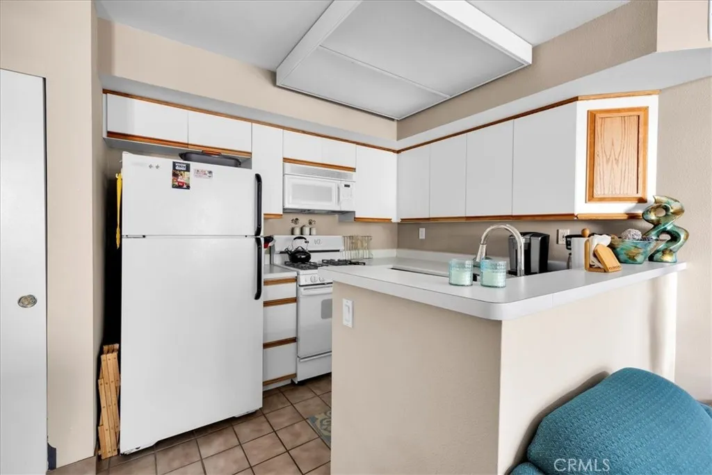 1555 N Chapparal, Palm Springs, California 92262 home-pic-17
