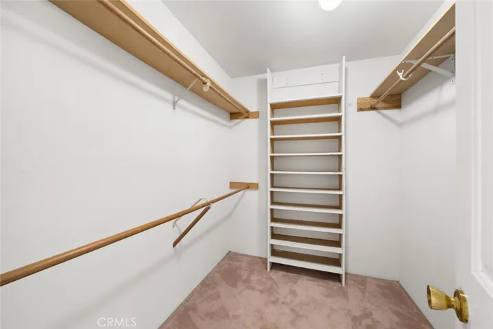 One of two primary bedroom closets