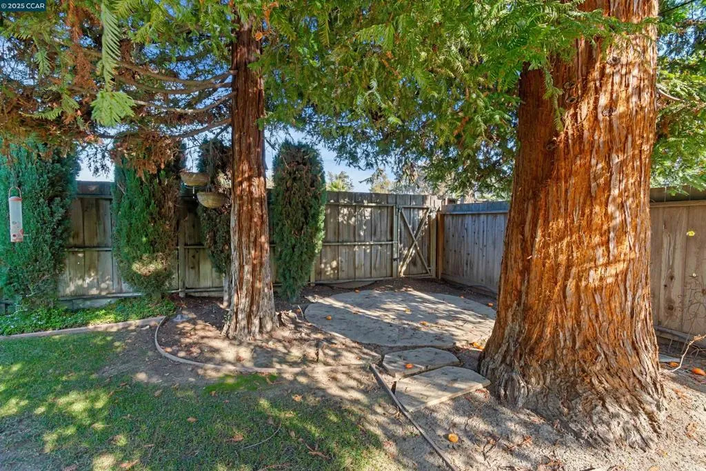 2425 Alvarado Dr, Santa Clara, California 95051 home-pic-50