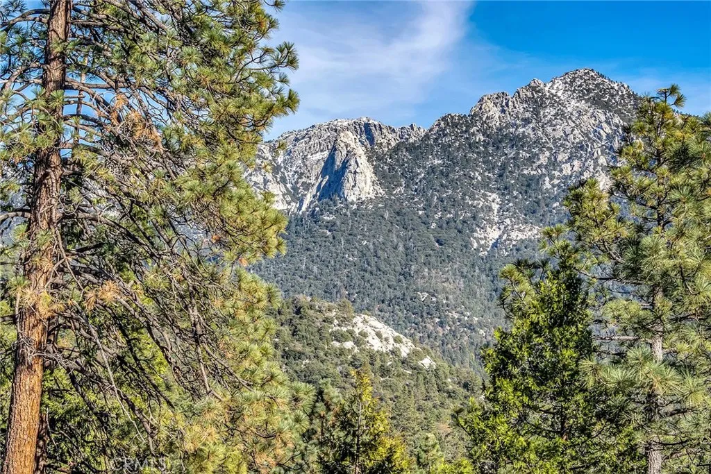 53580 Jeffrey Pine, Idyllwild, California 92549 home-pic-55